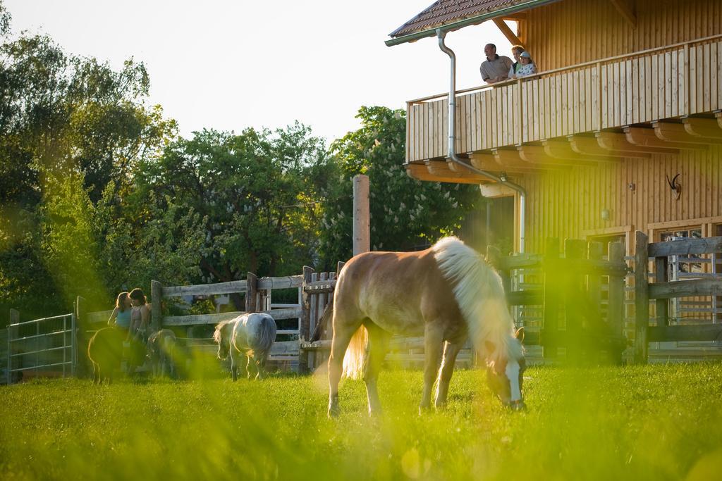 Bauer & Wirt Langthaler Villa Emmersdorf an der Donau Eksteriør billede